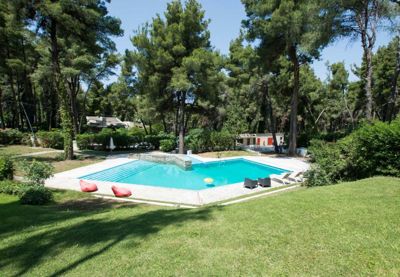 Villa Irini in Sani Sani  Esterno foto