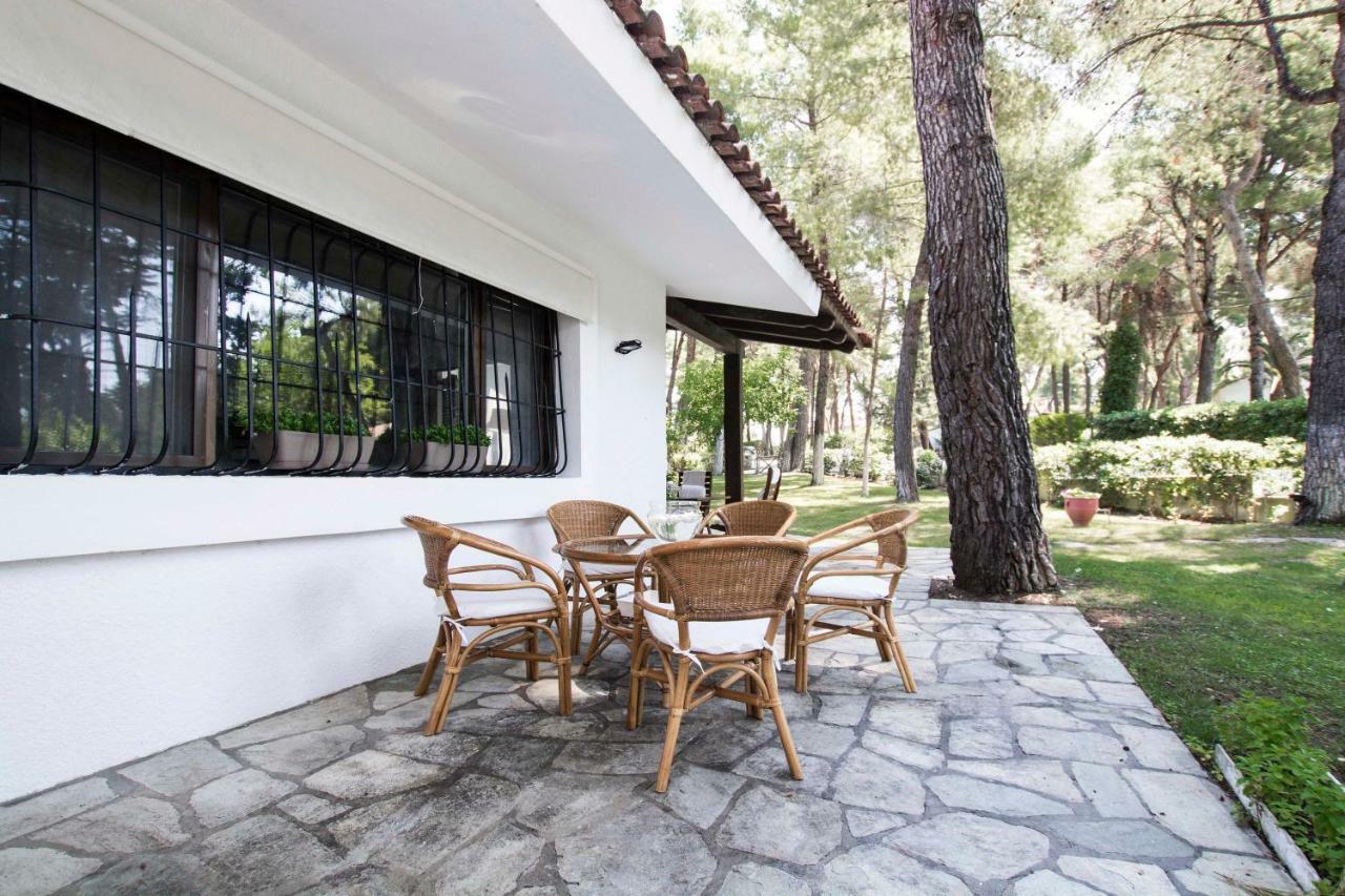 Villa Irini in Sani Sani  Esterno foto