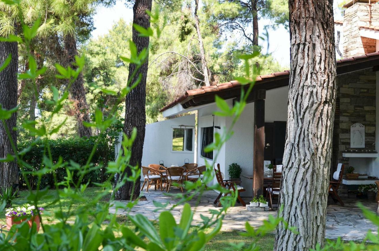 Villa Irini in Sani Sani  Esterno foto
