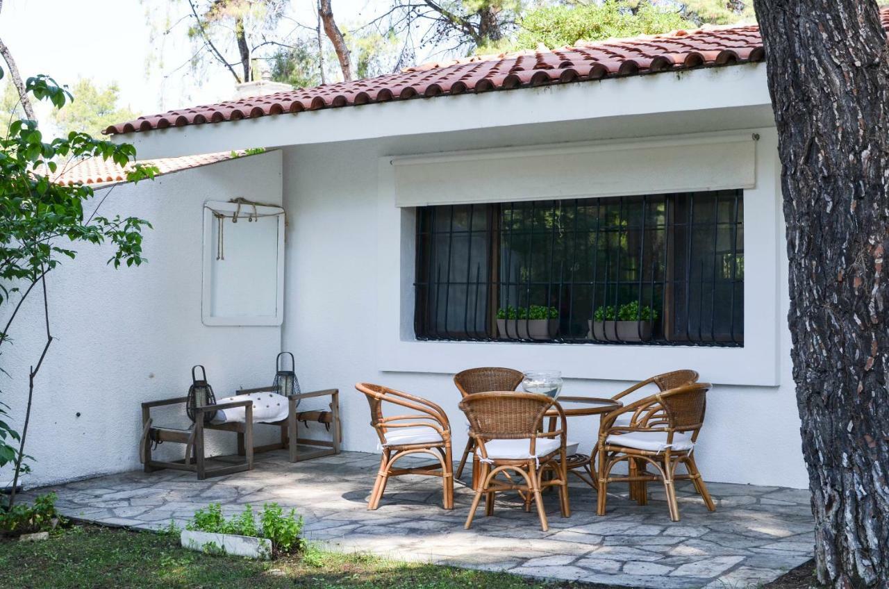Villa Irini in Sani Sani  Esterno foto