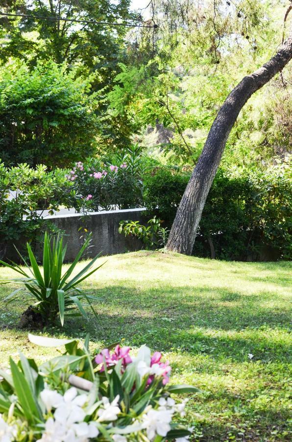Villa Irini in Sani Sani  Esterno foto
